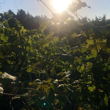 Winzerhaeuschen Kern Apartman Fehring Kültér fotó